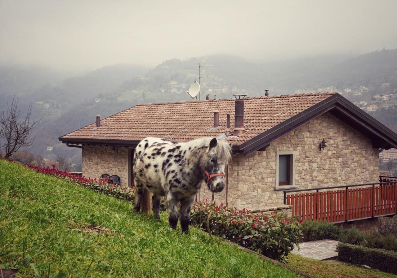 Casa Martina Villa Zogno Екстериор снимка
