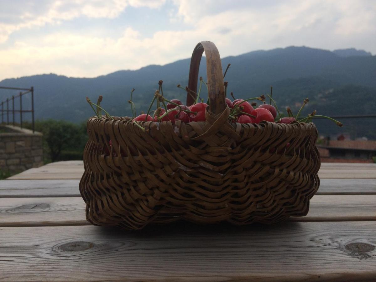 Casa Martina Villa Zogno Екстериор снимка